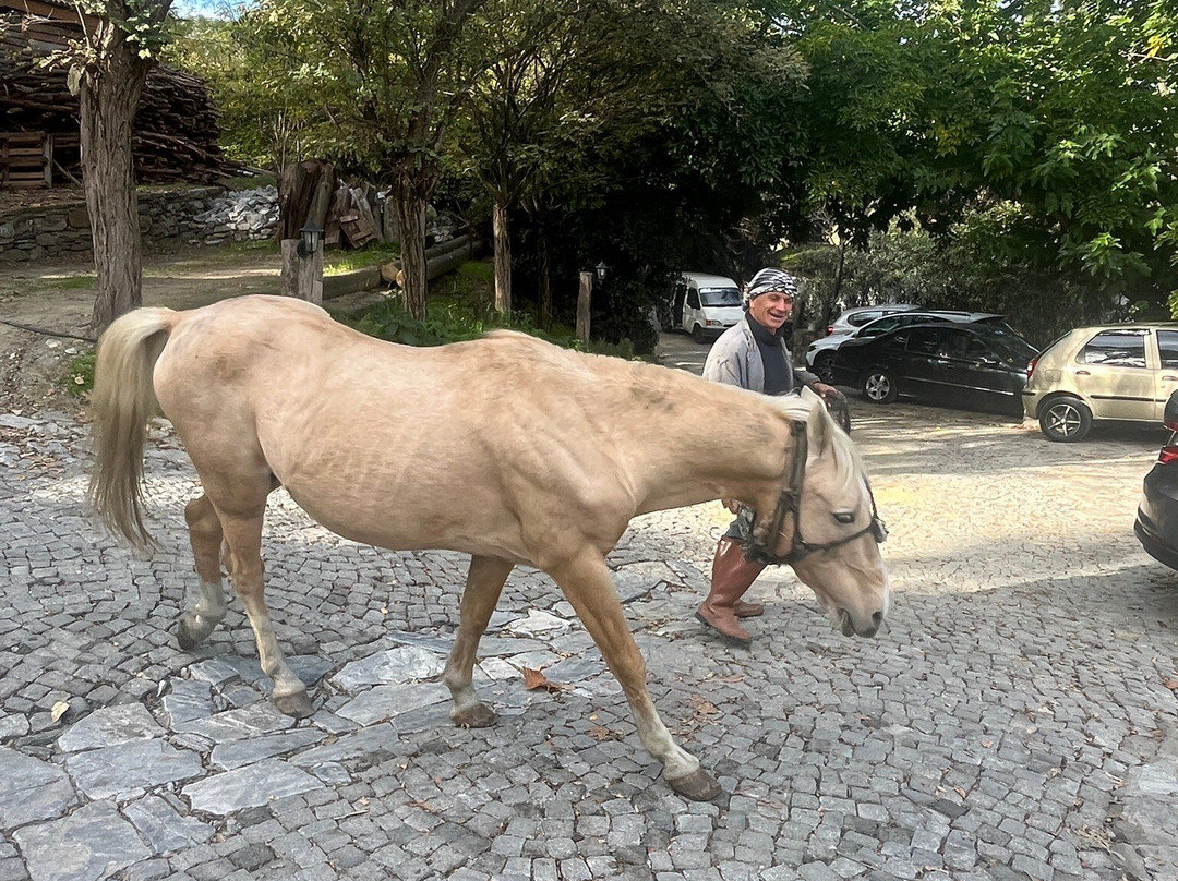 Nisanyan Hotel主图