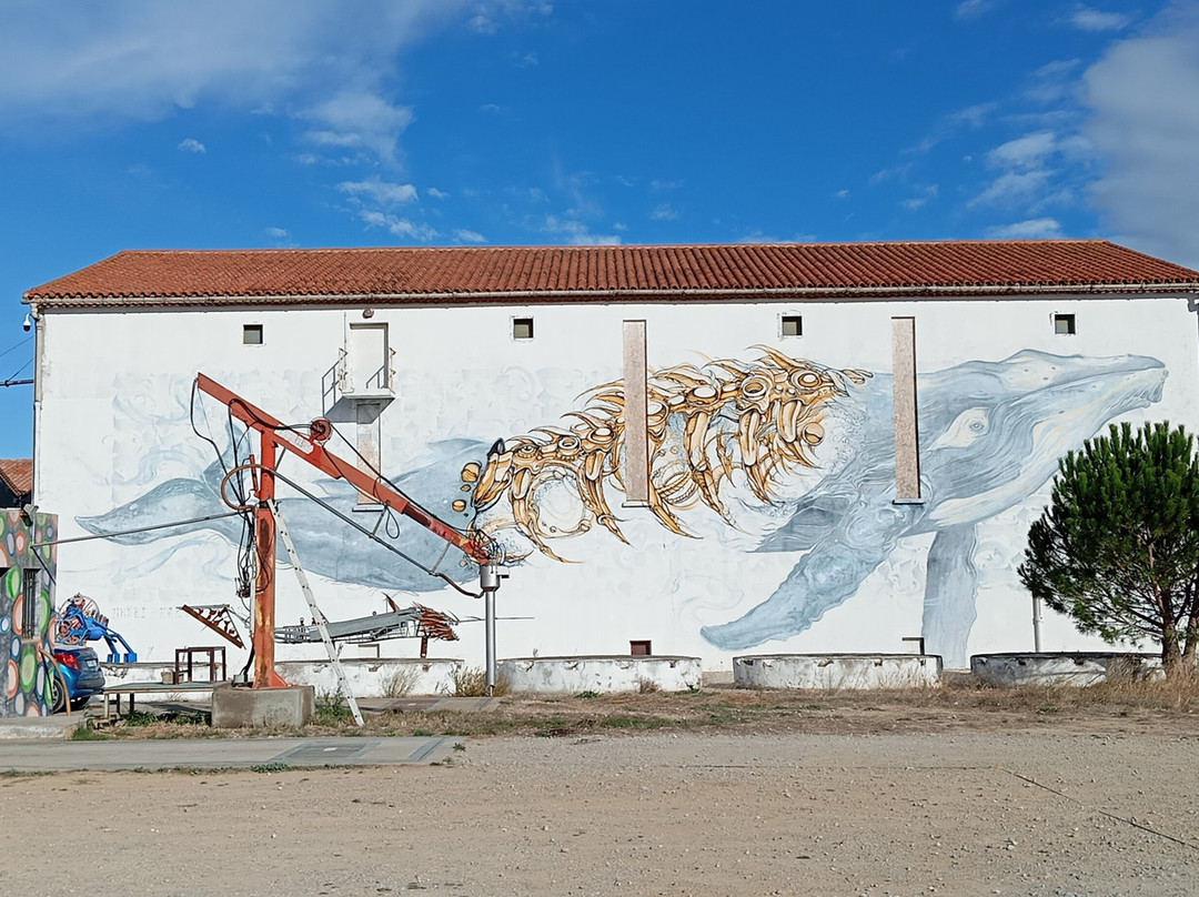 Spiktri Street Art Universe Museum-Ferrals-les-Corbieres必去景点