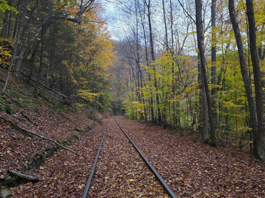Rail Explorers: Elk River Division-Clay必去景点