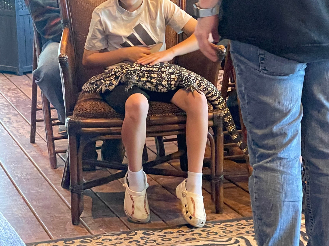 Tiger Safari Zoological Park-Tuttle必去景点