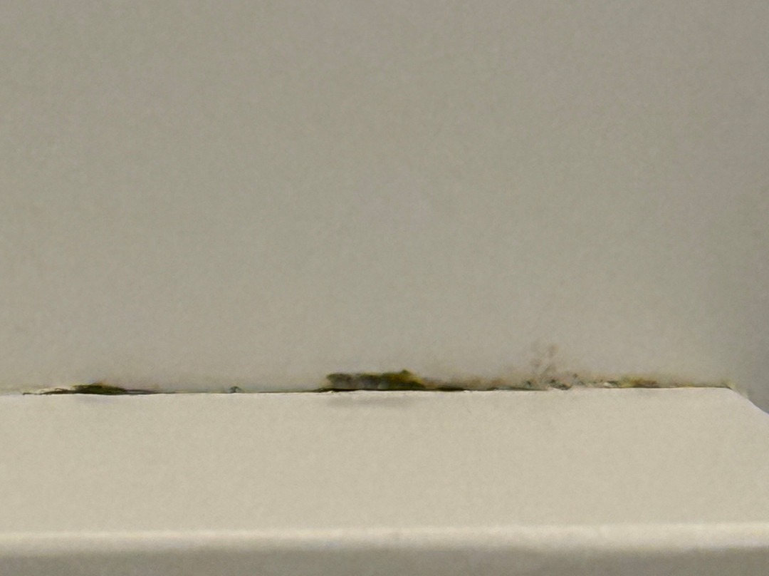 Residence Inn by Marriott Merida主图