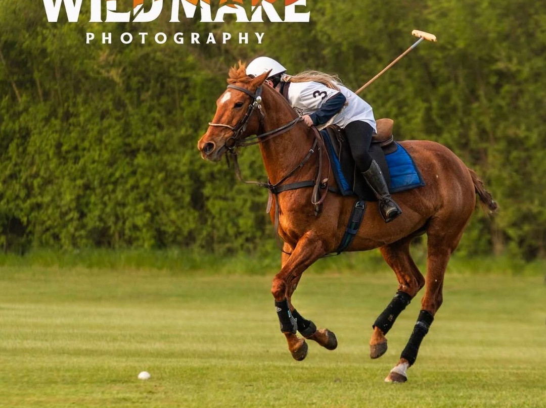 Dart Polo Academy-Gainsborough必去景点