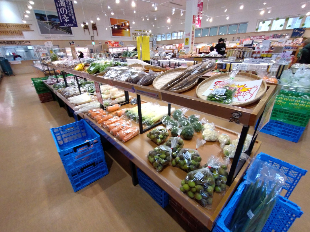 Michi no Eki Oga Ogare-男鹿市必去景点