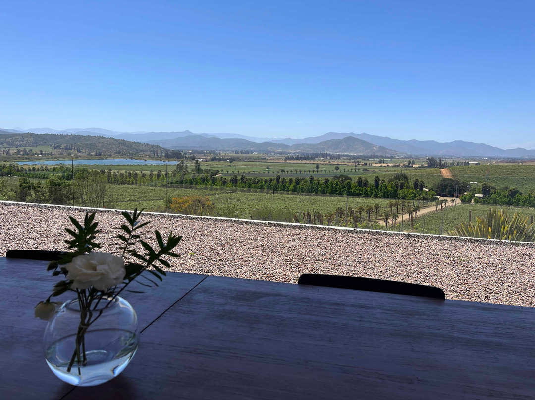 Kingston Family Vineyards-卡萨布兰卡必去景点