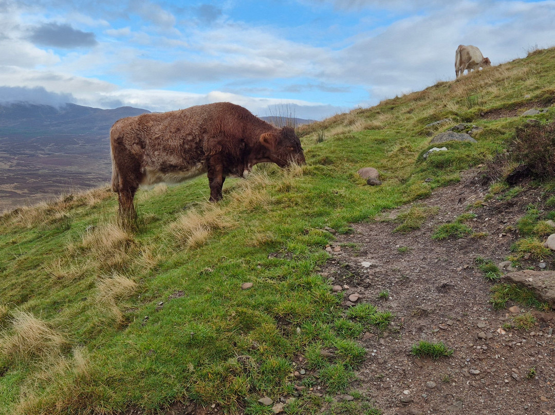 Conic Hill-Balmaha必去景点