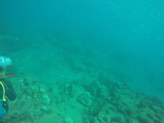 Fathom Five Divers-可洛亚必去景点