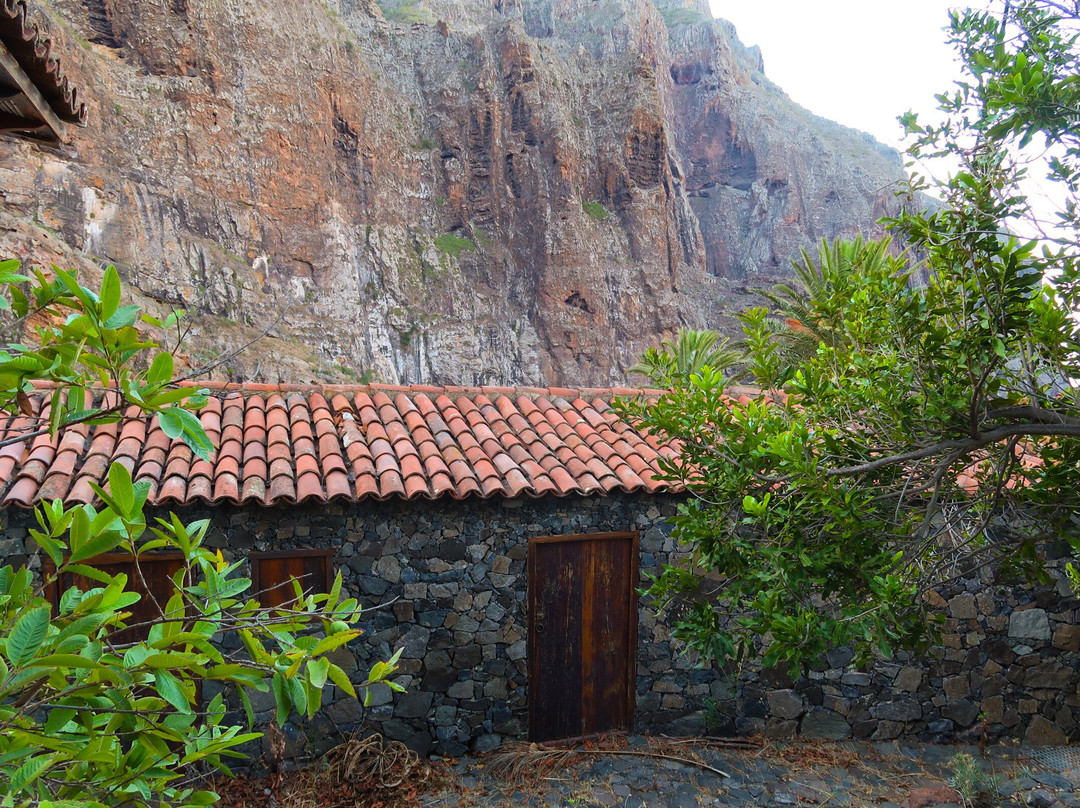 Adventures Tenerife-La Esperanza必去景点