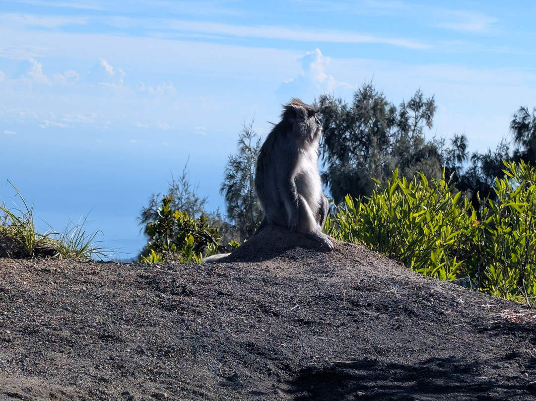 Atta's Travel-Gili Meno必去景点