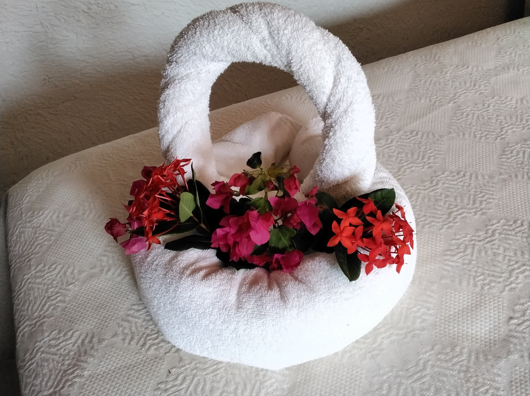 Villa Linda Mar主图