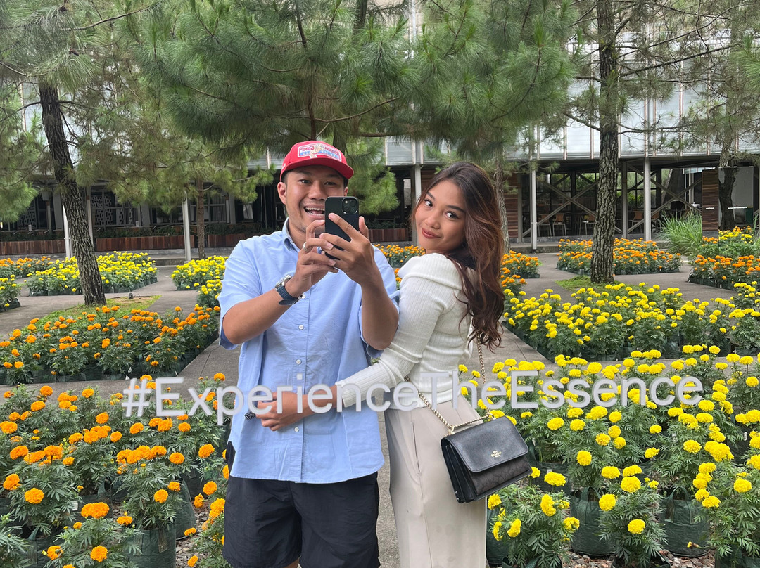 Rumah Atsiri Indonesia-Tawangmangu必去景点