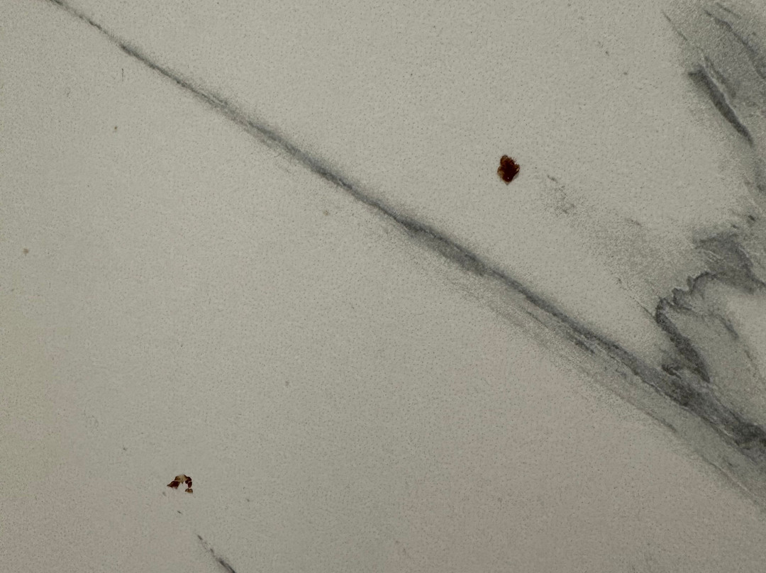 The Royal Hotel主图