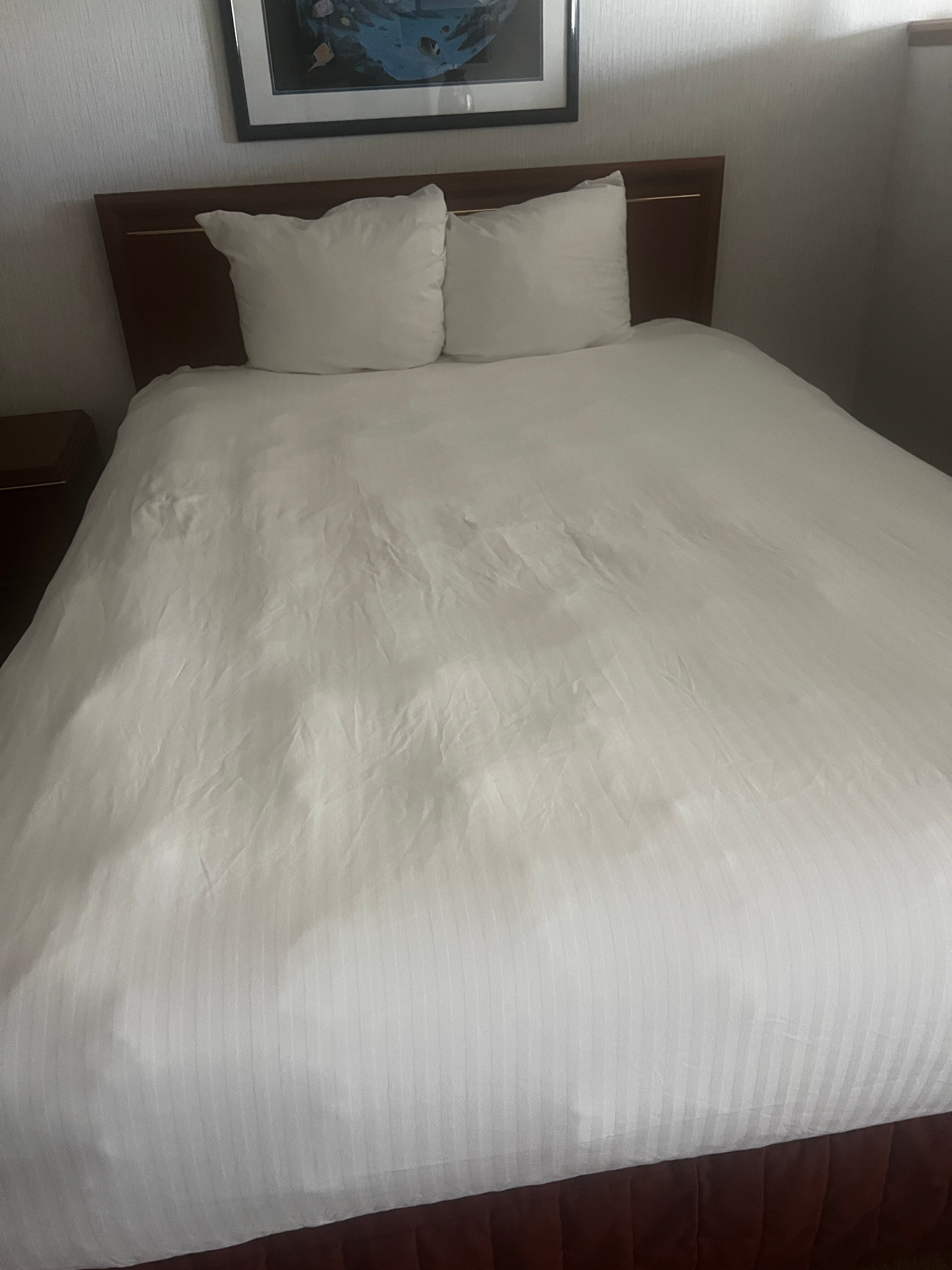 大西洋海岸希洛套房酒店-客卧