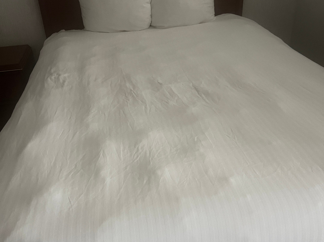 大西洋海岸希洛套房酒店主图