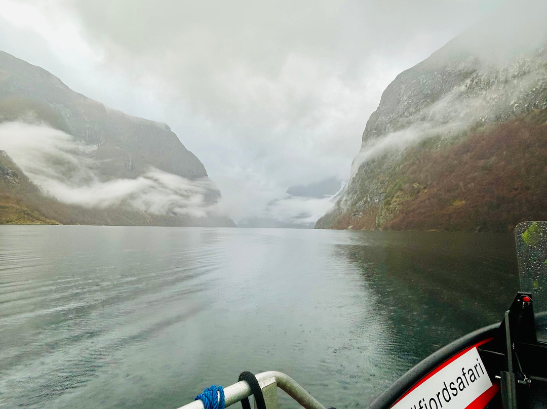 FjordSafari-弗洛姆必去景点