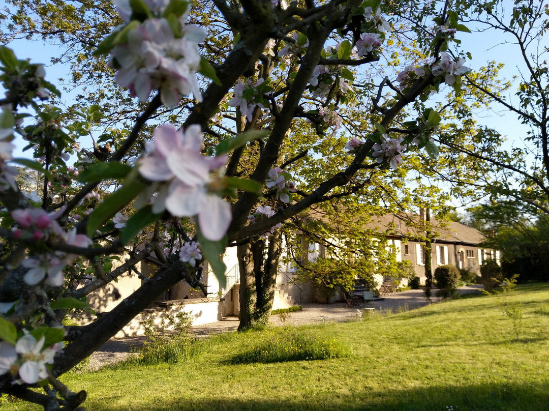 Ecully酒店住宿-Les Communs du Manoir