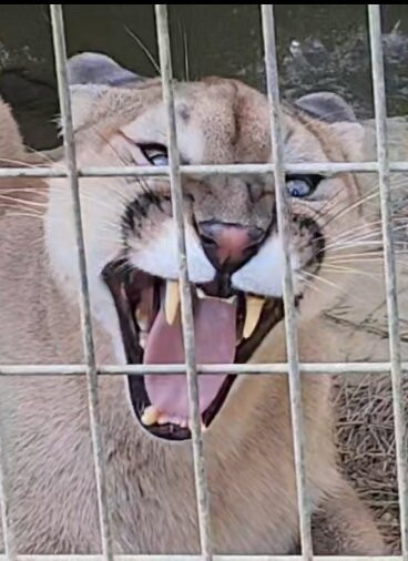 Wild Acres-McHenry必去景点