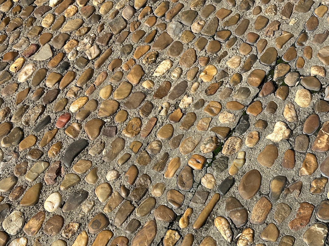 Zamora-萨莫拉必去景点