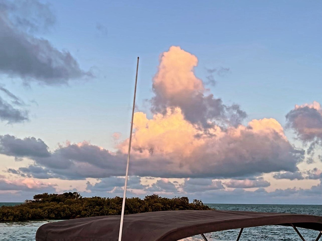 Rising Tide Tours-普罗维登西亚莱斯必去景点