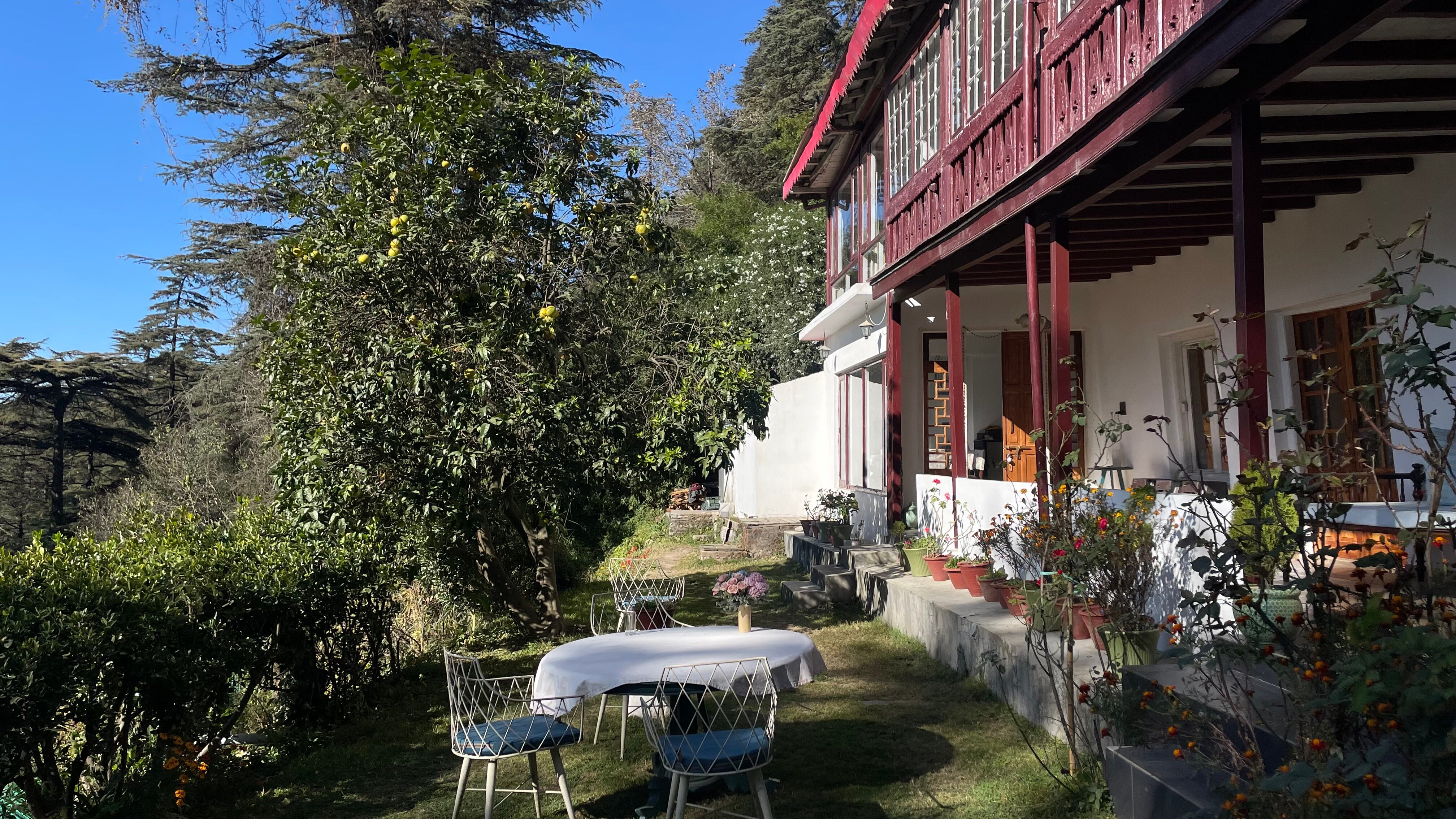 Seclude Shimla Taraview-官方