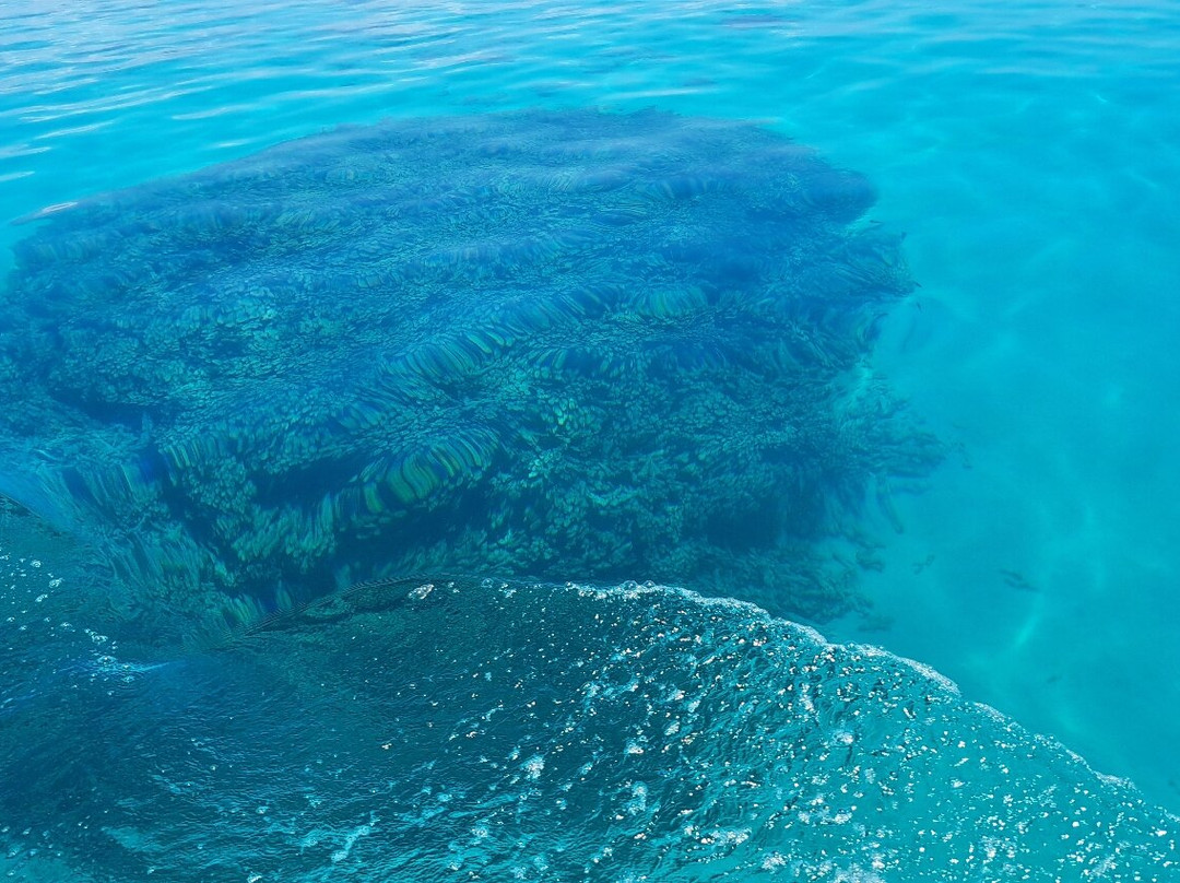 Wasini Trips-Wasini Island必去景点