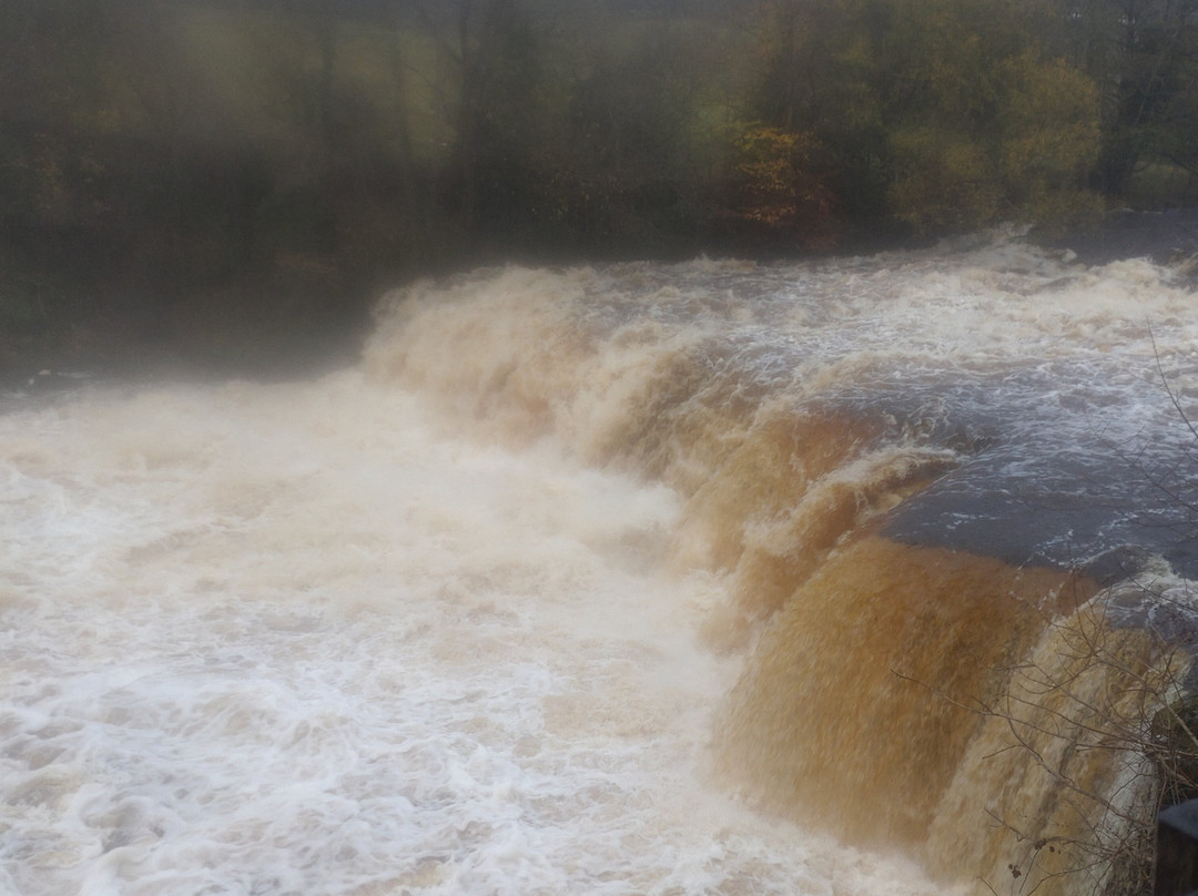 Aysgarth Falls-Aysgarth必去景点