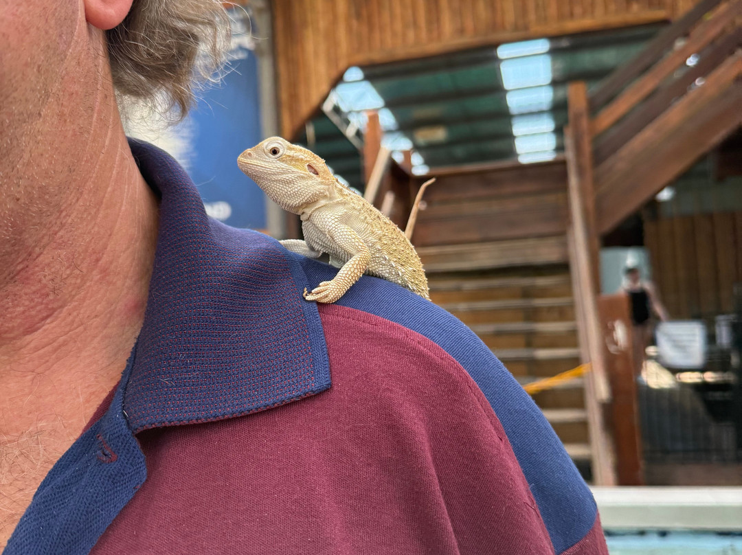 Port Stephens Animal Adventures-Bobs Farm必去景点