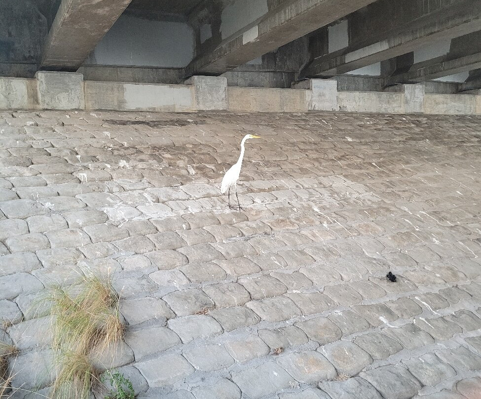 Quick Point Nature Reserve-长船礁必去景点