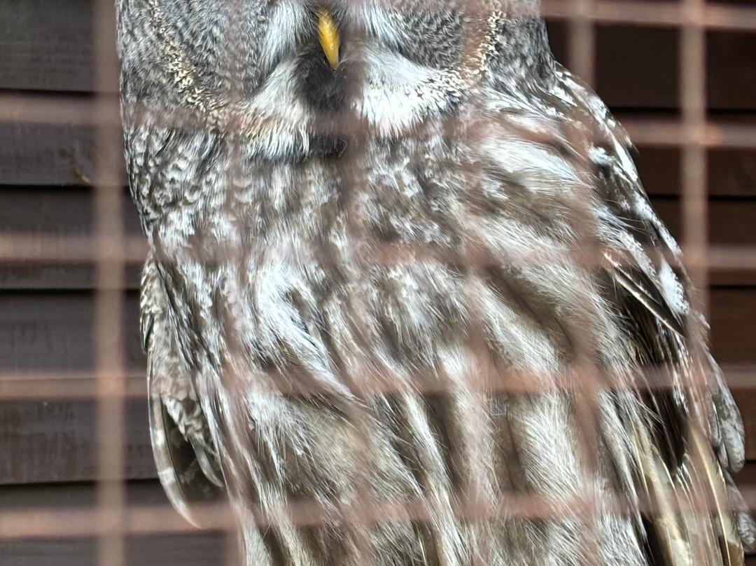 West Sussex Falconry-Compton必去景点