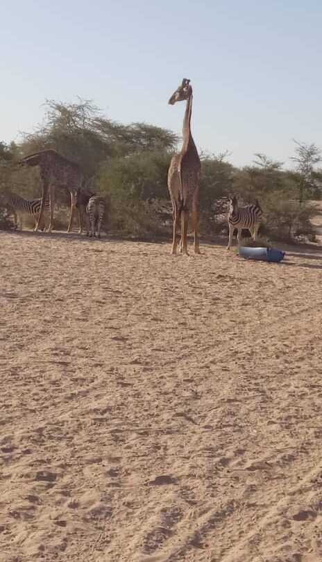 Parc National D'awleigatt - Pna