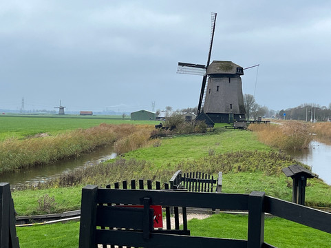 ToursByLocals-阿姆斯特丹必去景点