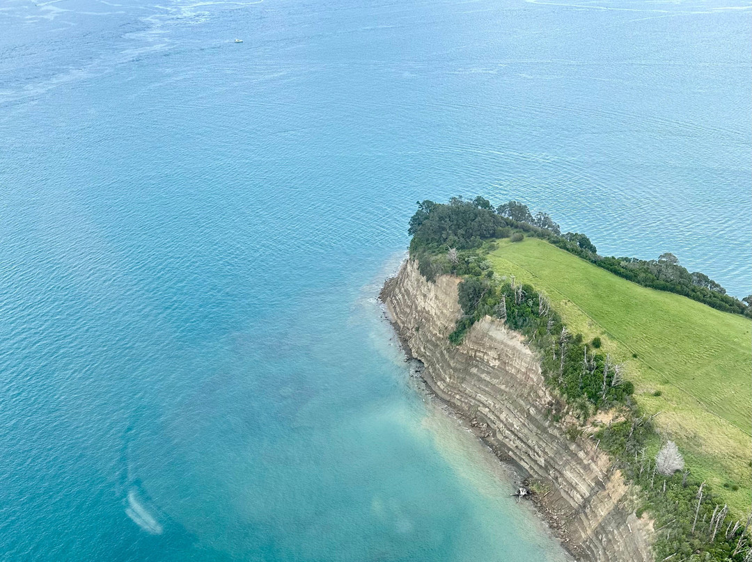 Heletranz Helicopters-奥克兰中心地区必去景点