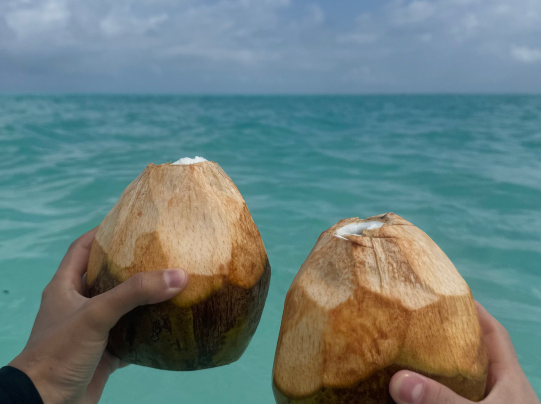 AG Tours and Safaris-桑给巴尔岛必去景点