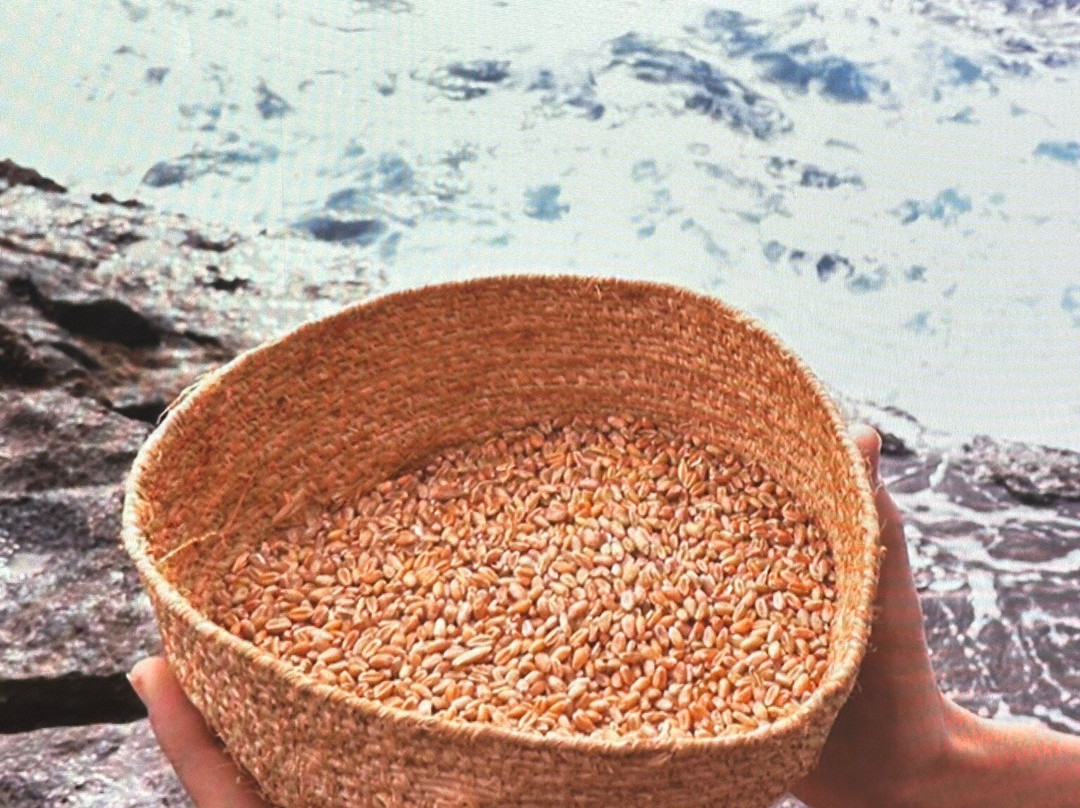 Parque Arqueologico Tendal-San Andres y Sauces必去景点