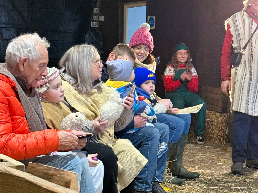 Pennywell Farm-Buckfastleigh必去景点