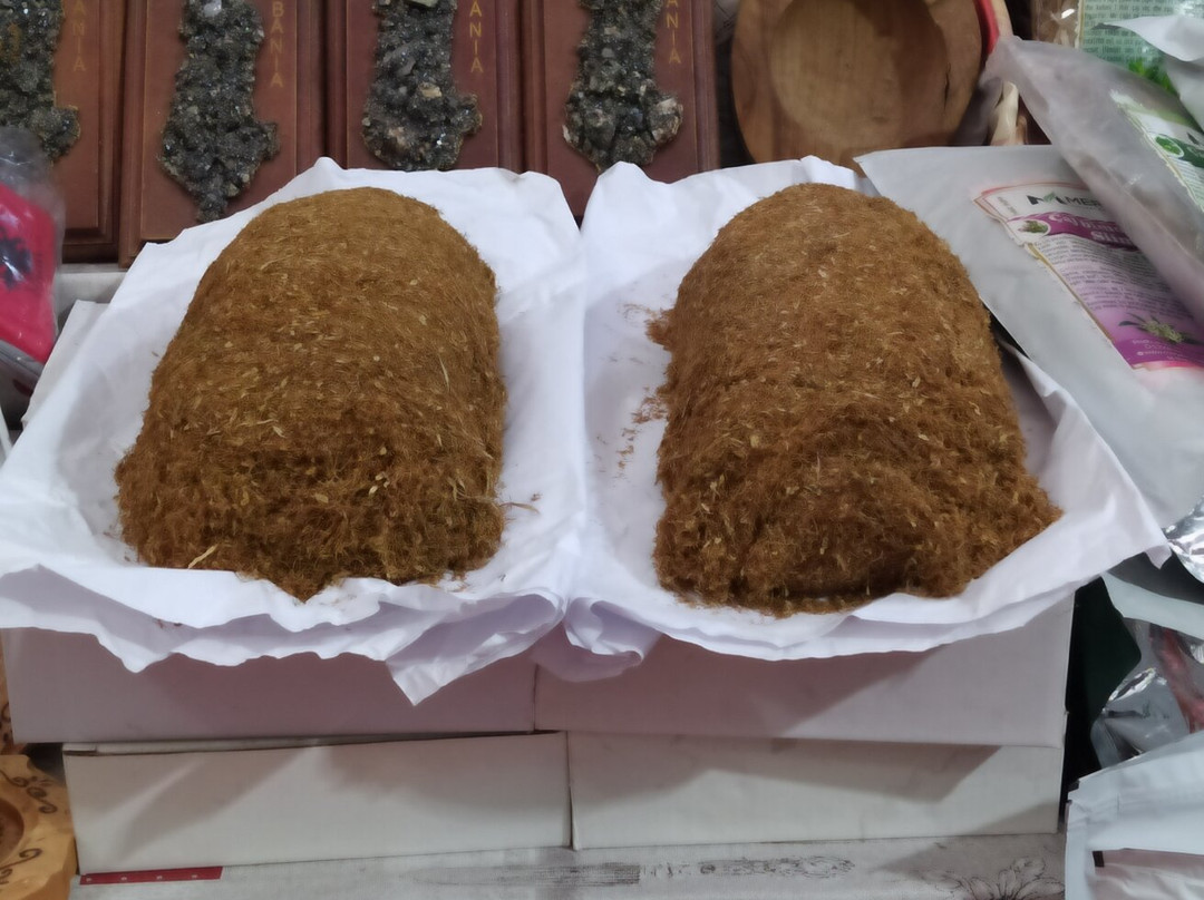 Pazari i Ri-地拉那必去景点