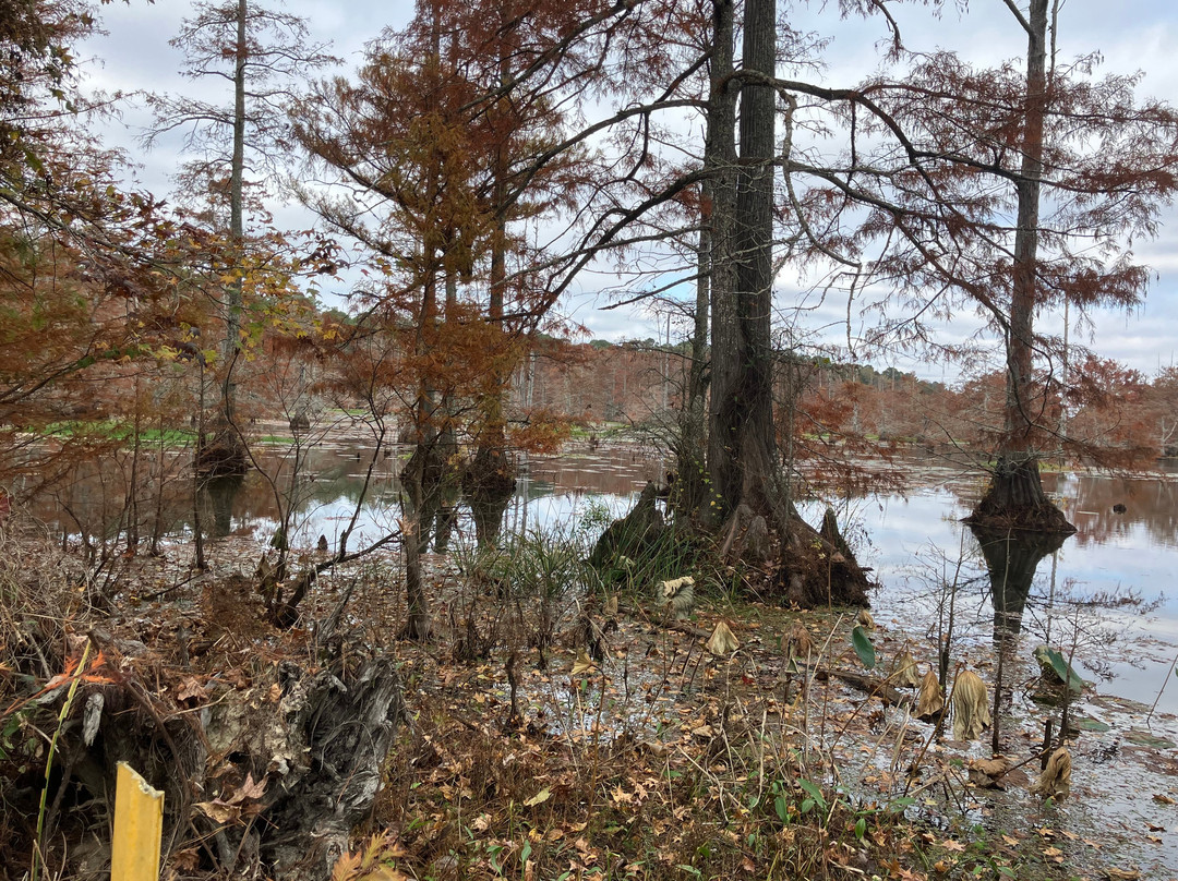 Best Western Executive Suites主图