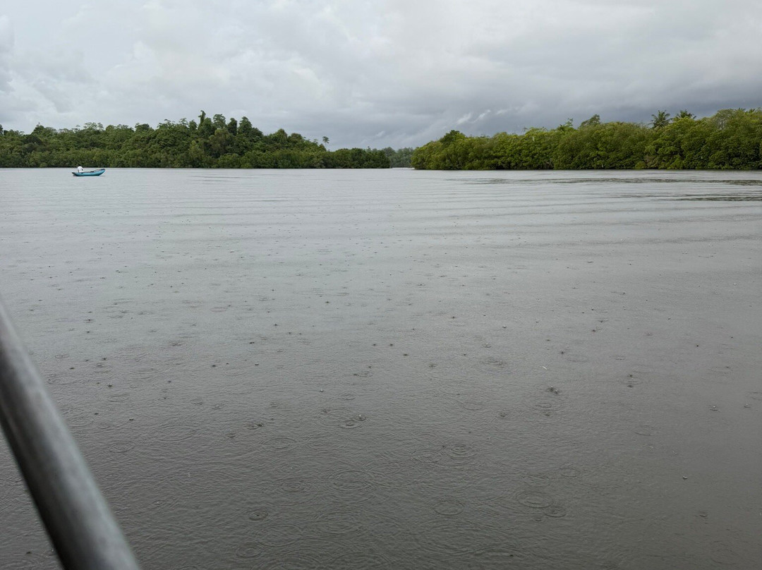 Koggala Lake Boat Safari-哈巴拉杜瓦必去景点