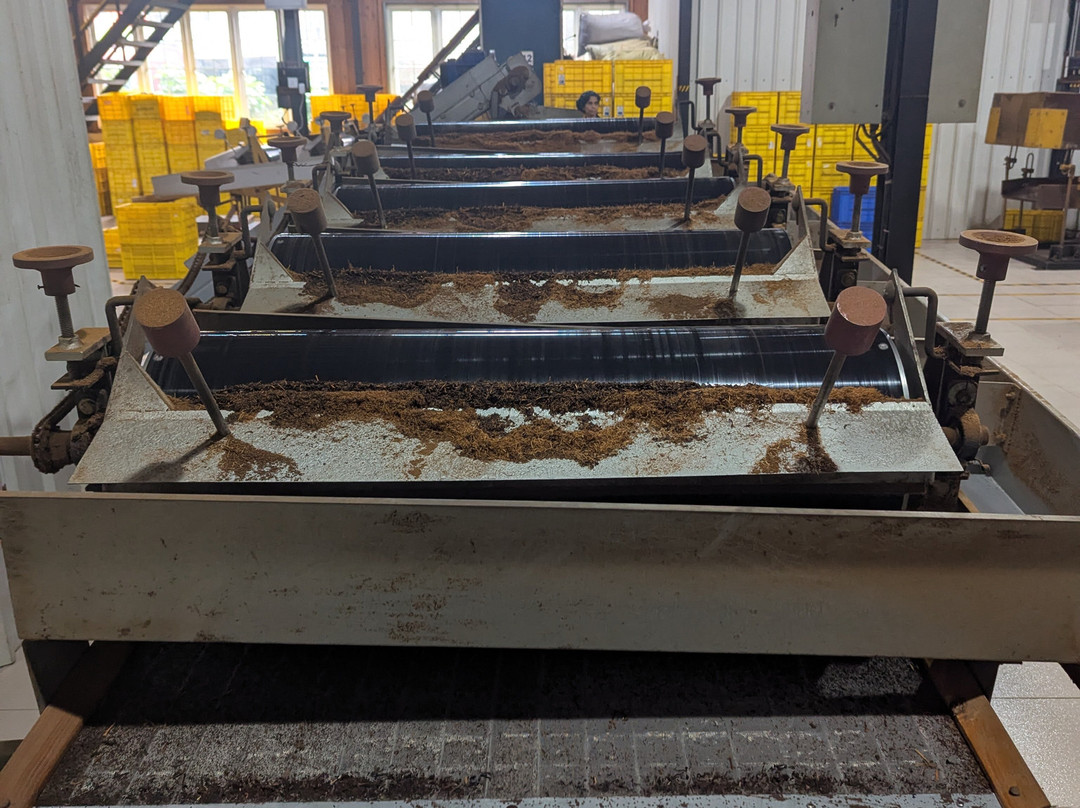 Pilimathalawa Tea Factory-Pilimathalawa必去景点