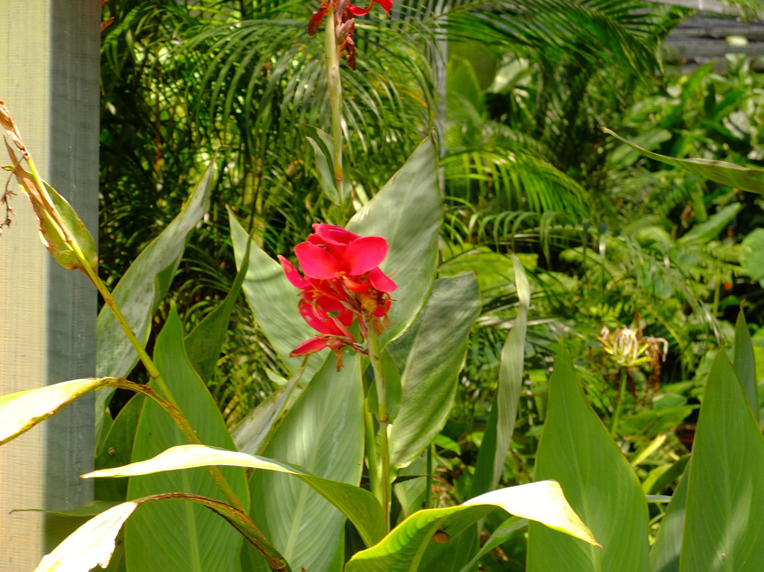 生态森林大象保护区-拜县必去景点