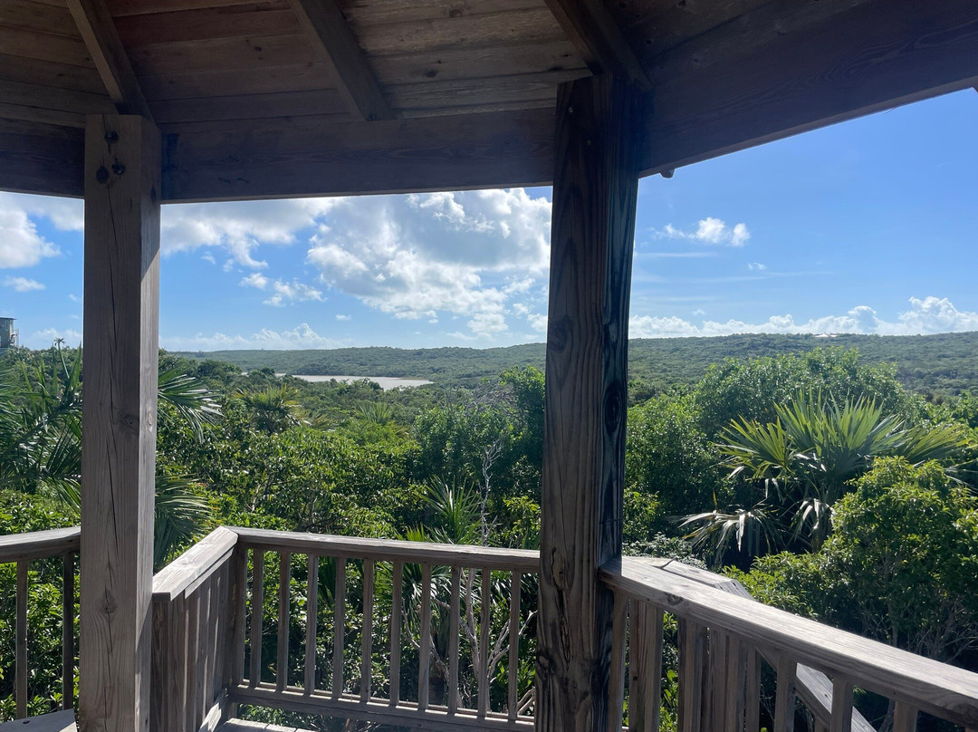 Leon Levy Native Plant Preserve-伊柳塞拉必去景点