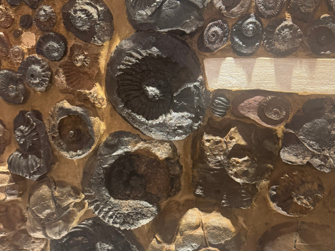 Museo El Fosil-莱瓦镇必去景点