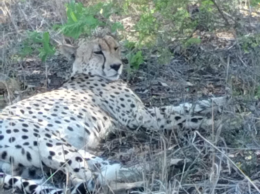 Kamaroutes travel Designers-Johannesburg South必去景点