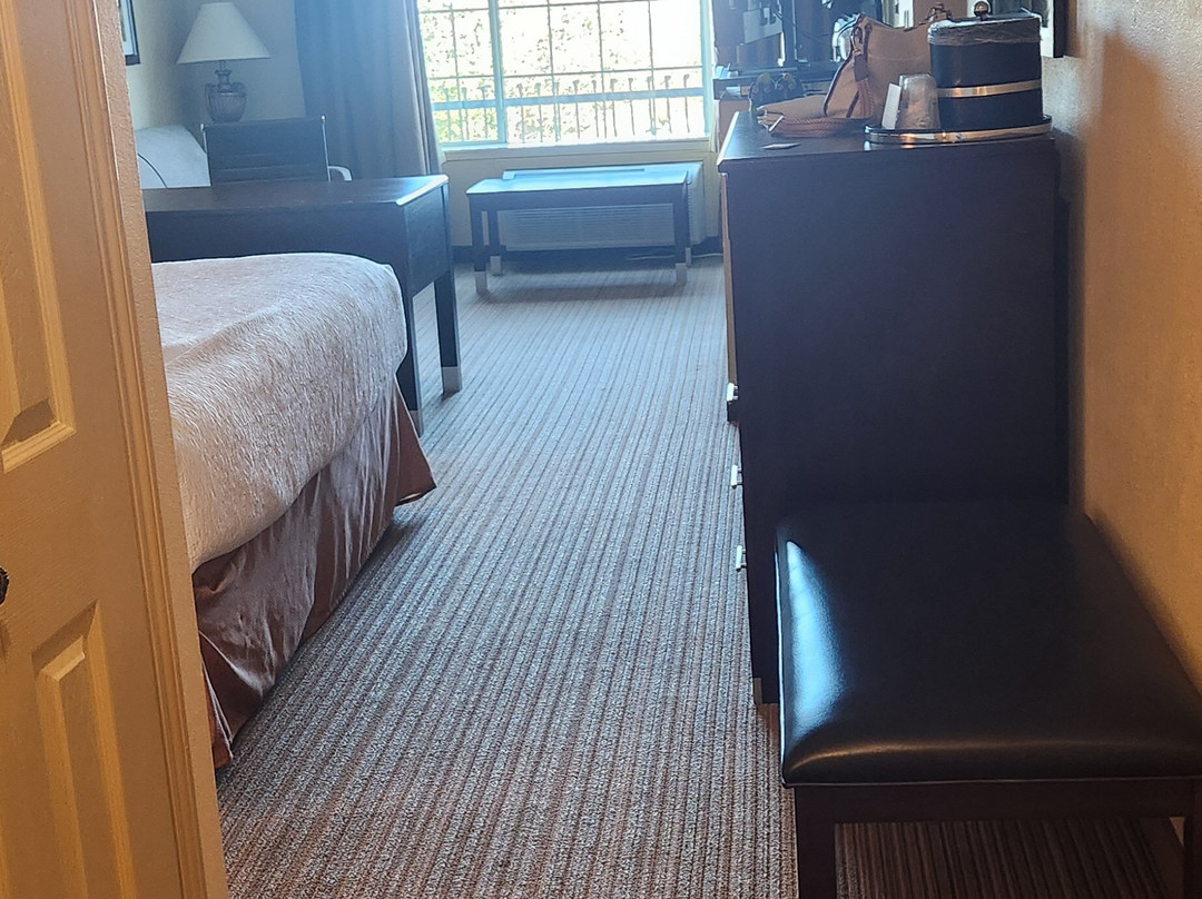 Best Western Plus Monica Royale Inn & Suites主图