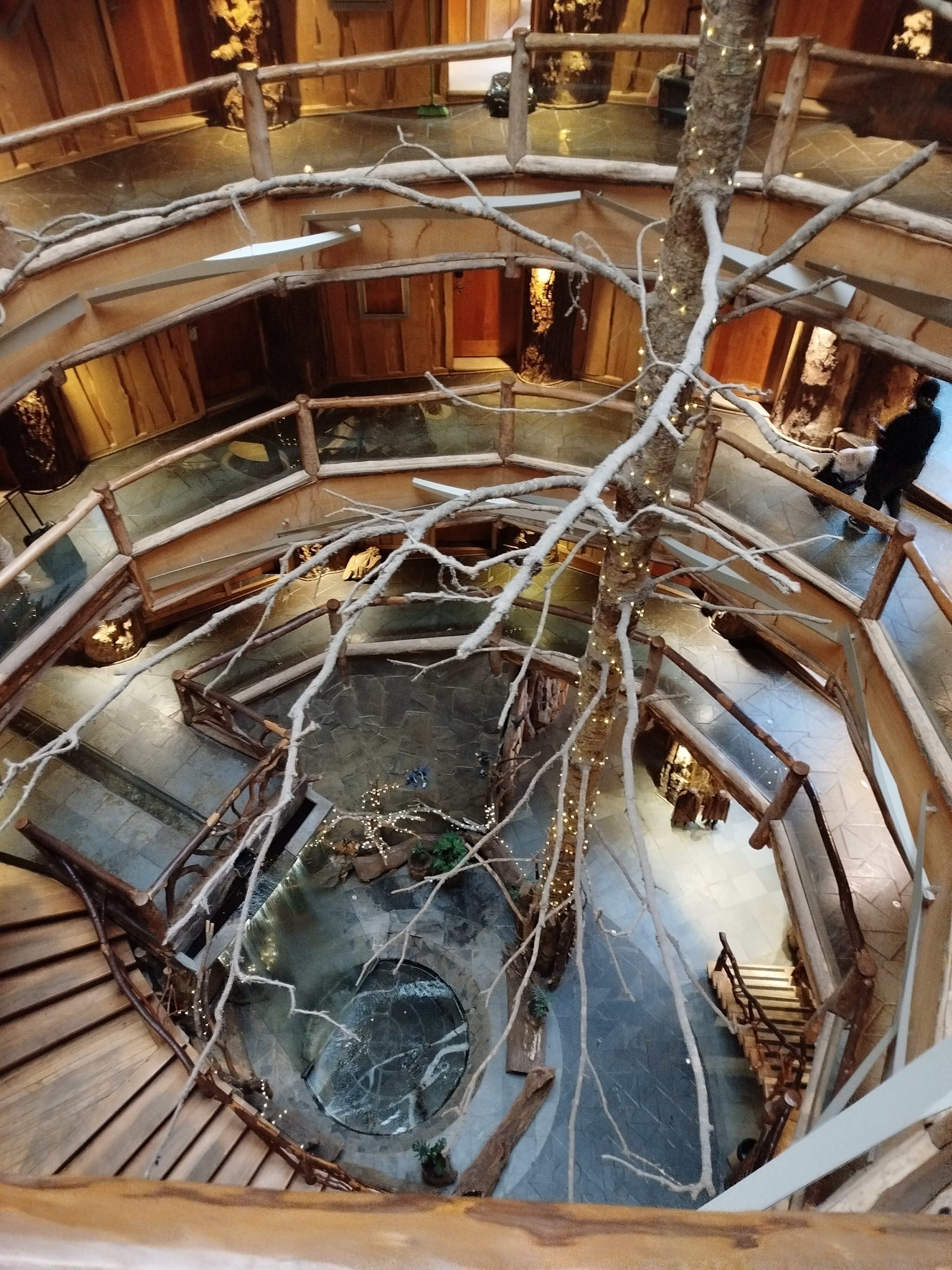 Huilo Huilo Nothofagus Hotel-官方