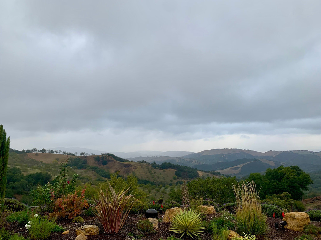 DAOU Vineyards-帕索罗布尔斯必去景点