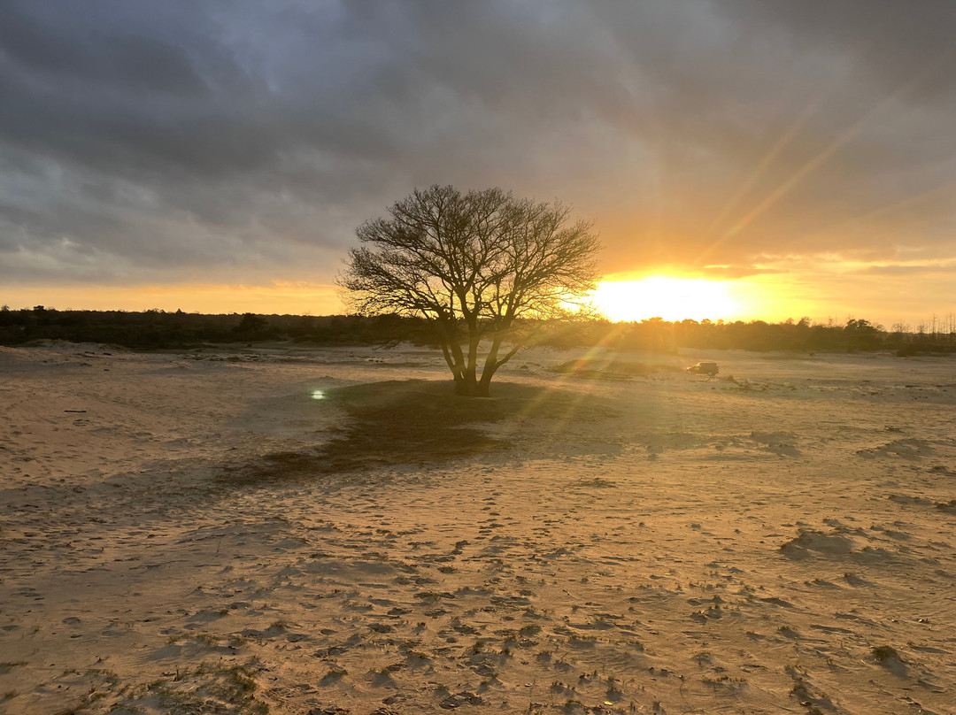 Nationaal Park Drents-Friese Wold-Appelscha必去景点