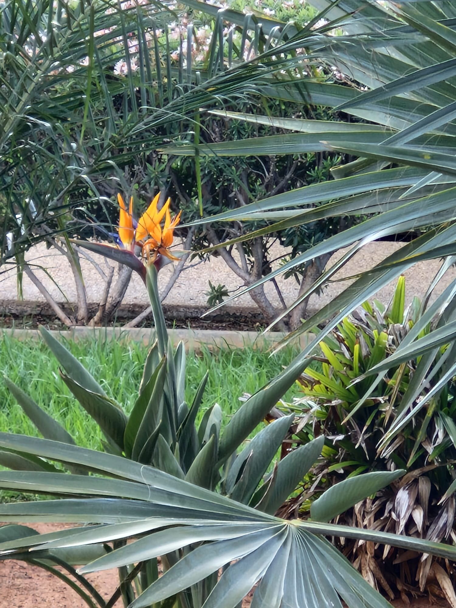 Asterias Beach Hotel-浴室