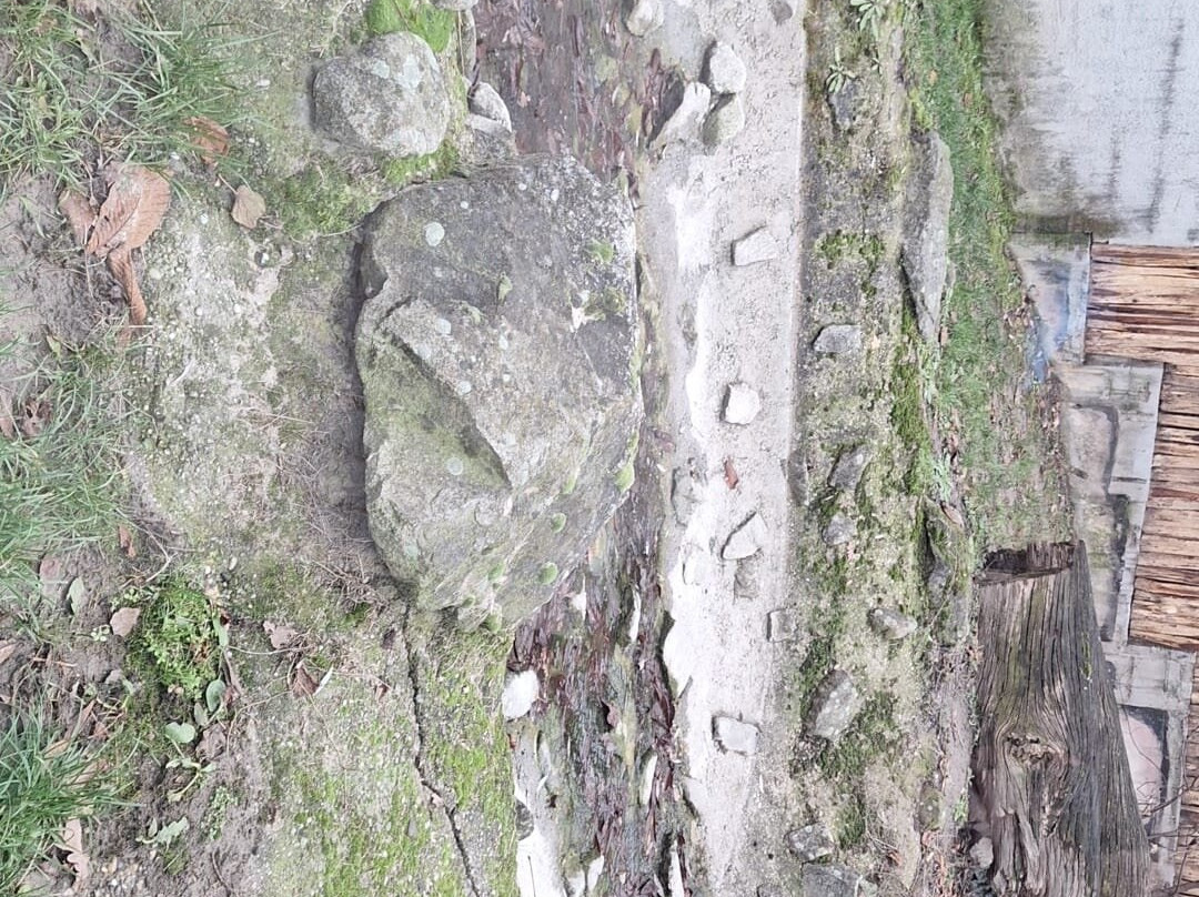 ZOO Bratislava-布拉迪斯拉发必去景点