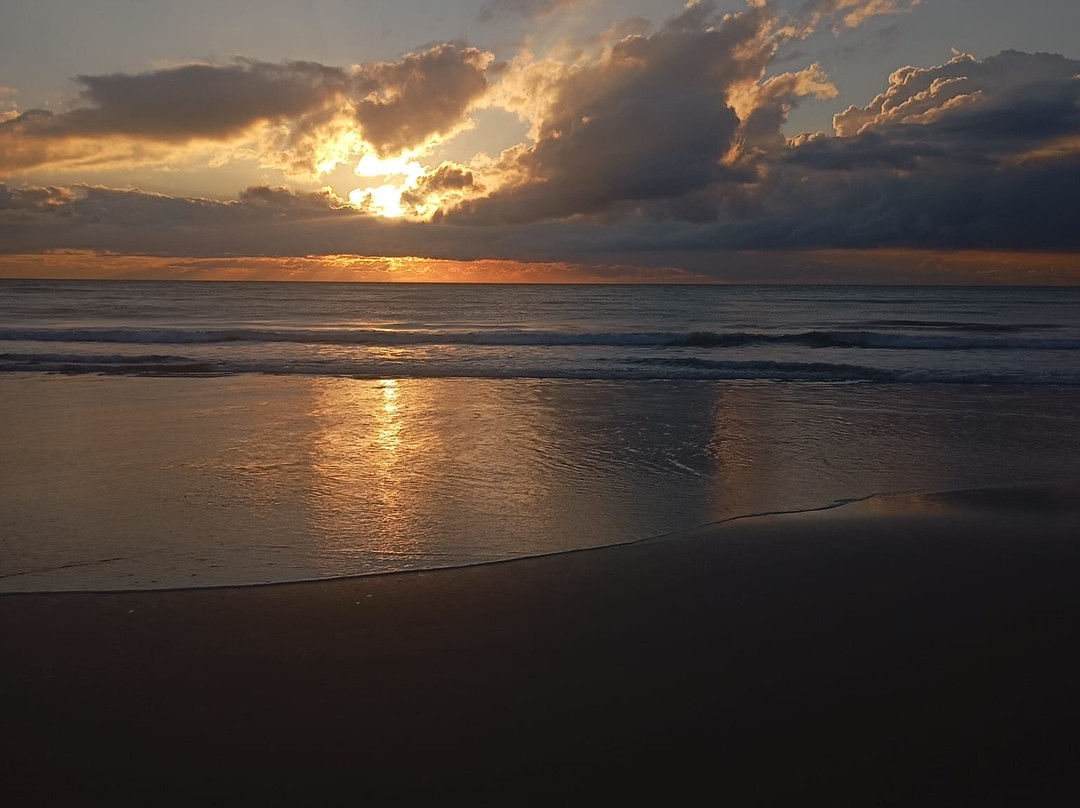 Donana Visitas-El Rocio必去景点