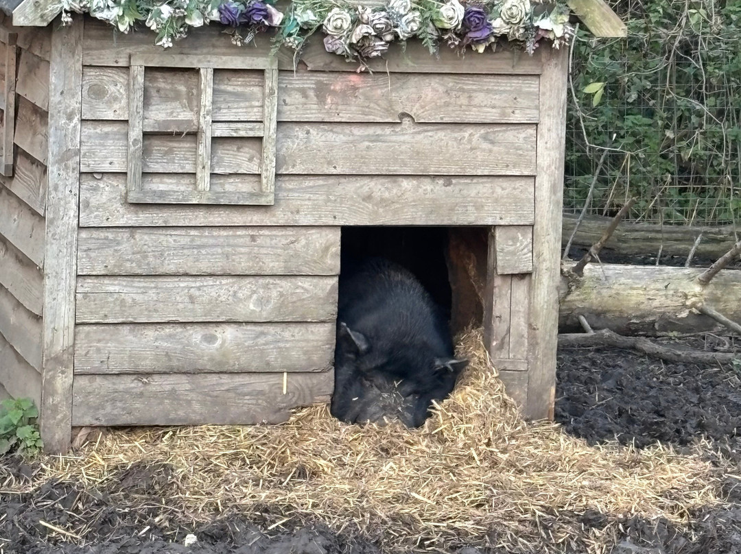 Huckleberry Woods-Faversham必去景点